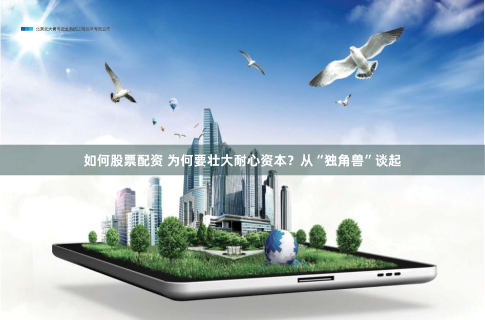 如何股票配资 为何要壮大耐心资本？从“独角兽”谈起