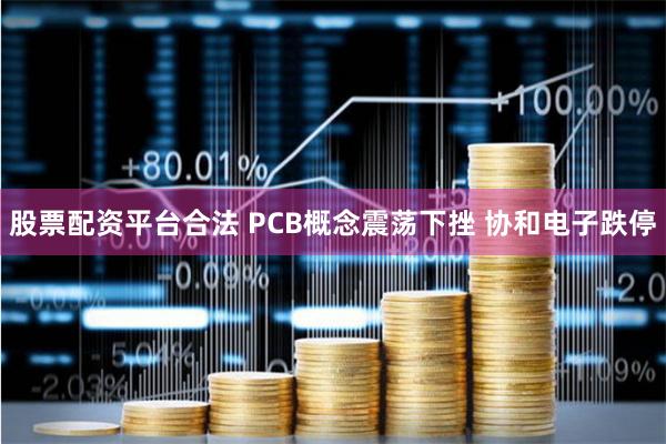 股票配资平台合法 PCB概念震荡下挫 协和电子跌停
