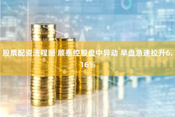 股票配资流程图 顺泰控股盘中异动 早盘急速拉升6.16%
