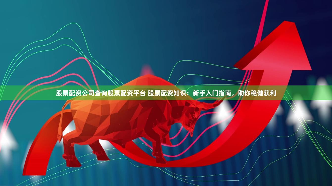 股票配资公司查询股票配资平台 股票配资知识：新手入门指南，助你稳健获利